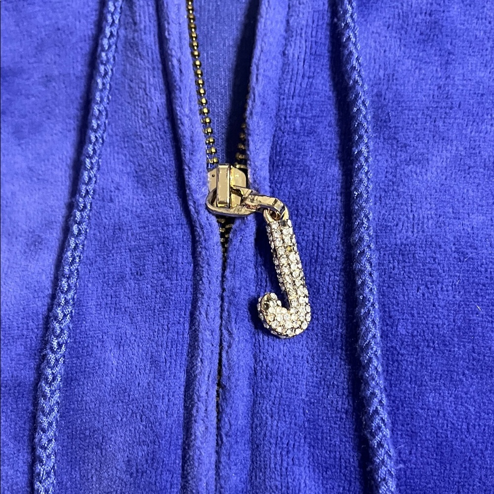 Juicy Couture Royal Blue Velvet Hoodie - Picture 3 of 4